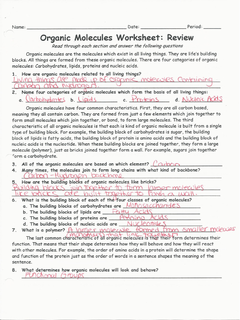 5a - Organic Macromolecules Note Guide Key | PDF