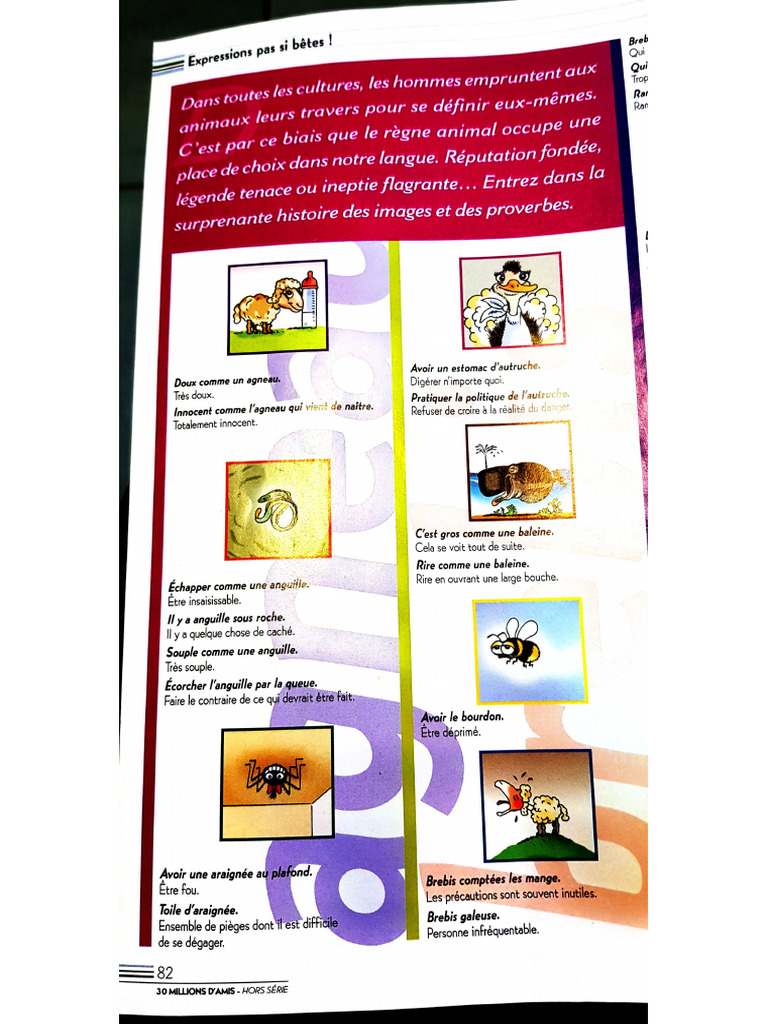 Document 3 | PDF