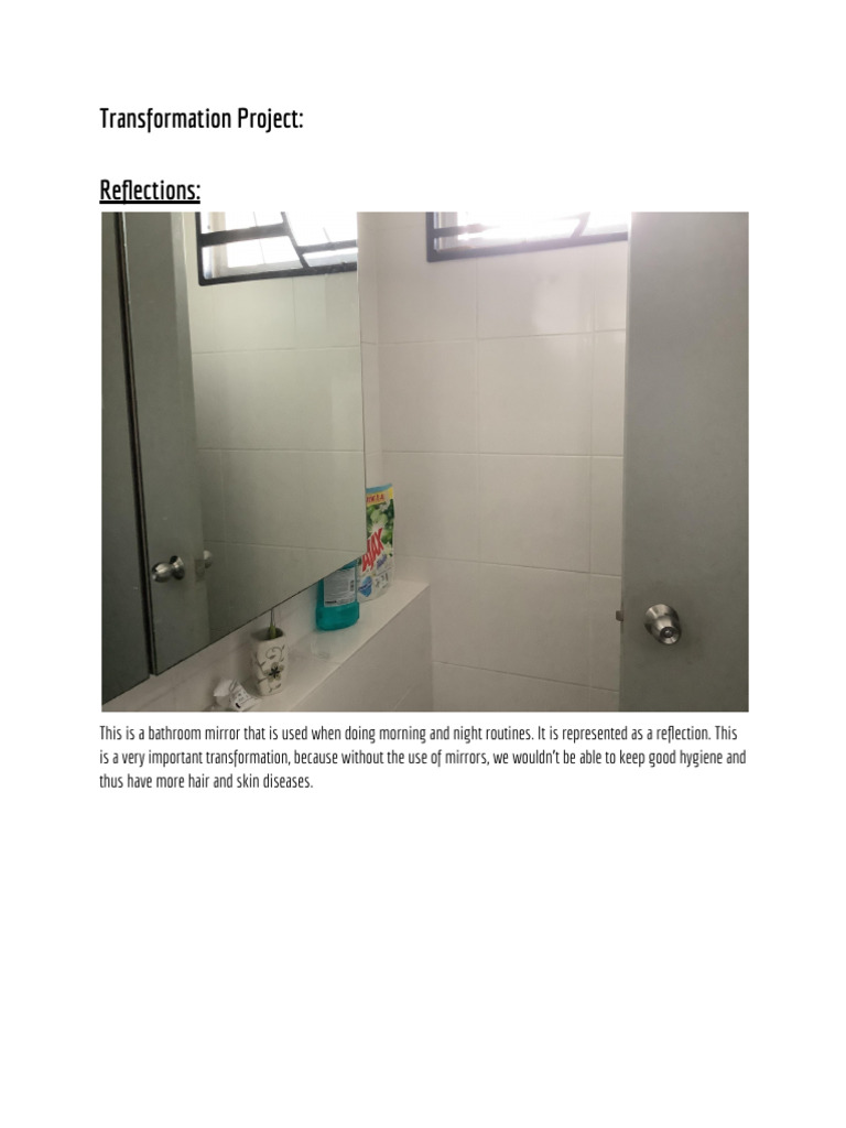 Transformation Project Ideas and Examples | PDF