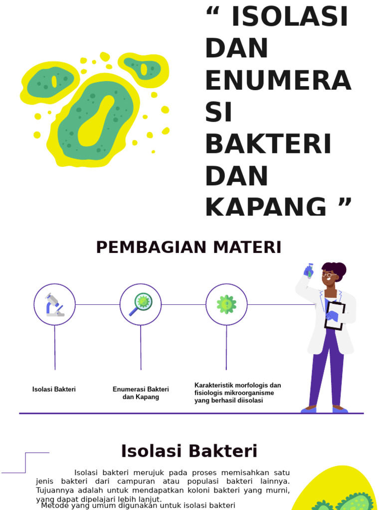 Isolasi dan Enumerasi Bakteri | PDF
