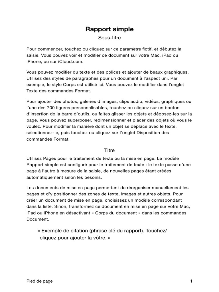 Rapport simple : Guide d'utilisation | PDF