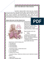 Sistem Organ Yang Menyusun Tubuh Manusia