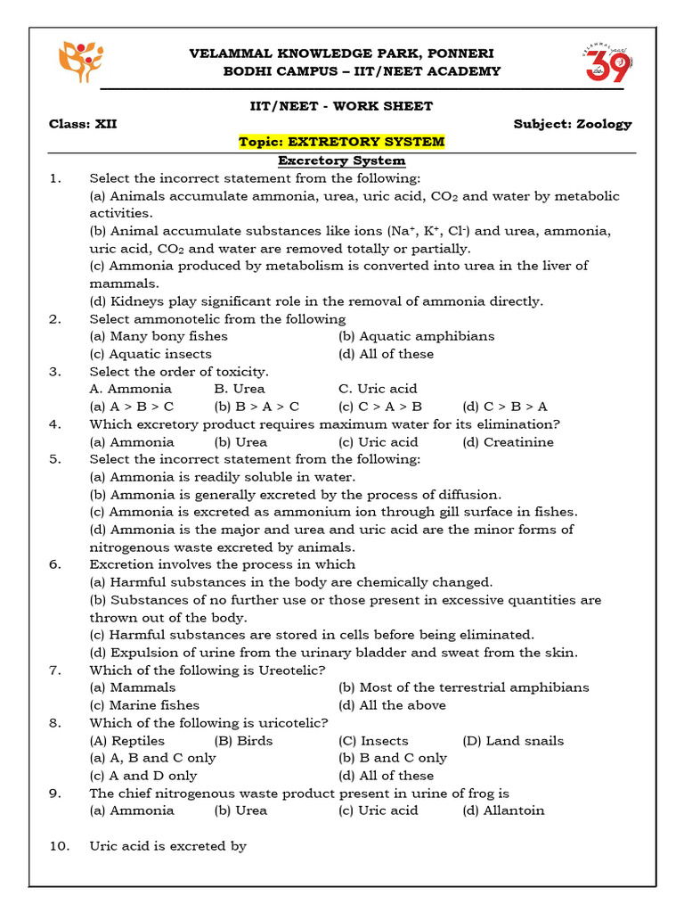 Excretory System - Zoology - NEET Worksheet | PDF | Kidney | Urinary System