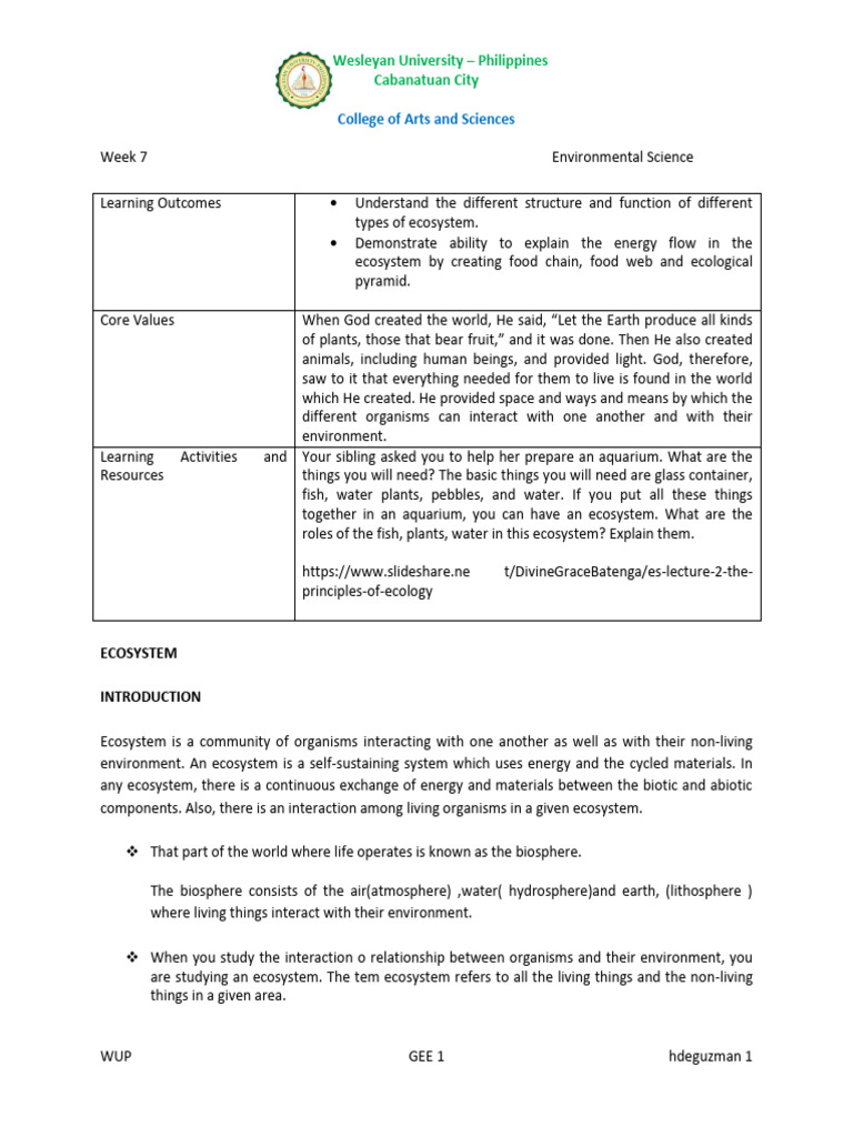 Ecosystem Structure and Function Overview | PDF | Food Web | Ecosystem