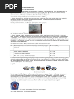 Әйелі порнографияға бағынады