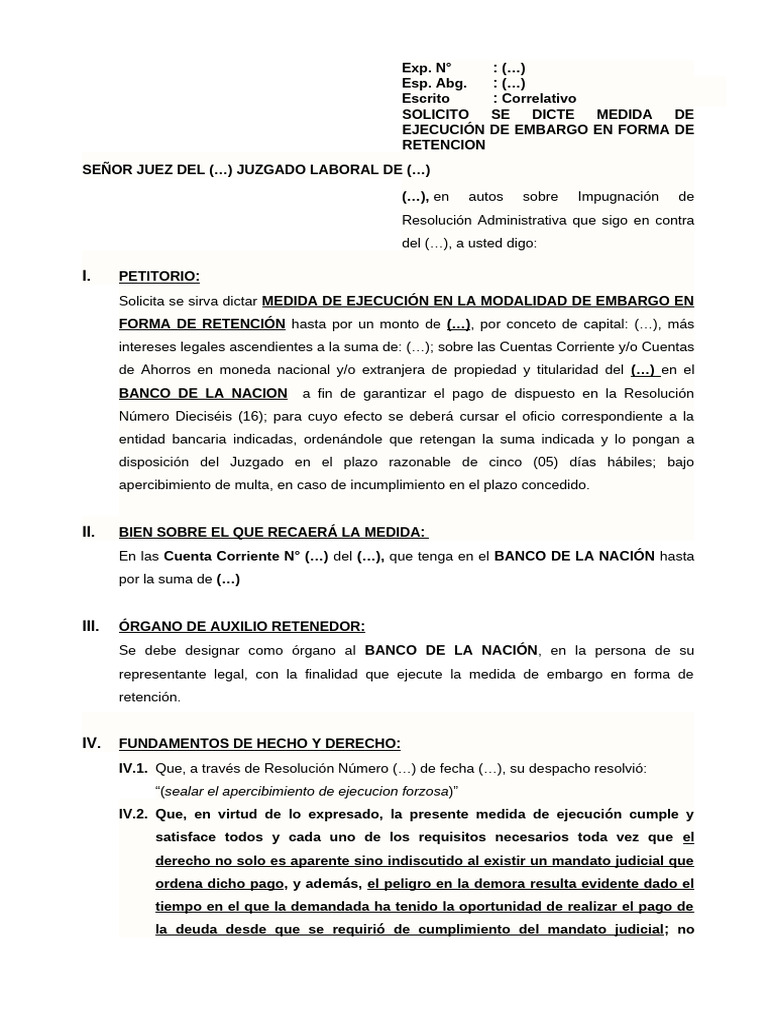 Modelo de Medida de Ejecución de Embargo en Forma de Retencion | PDF ...