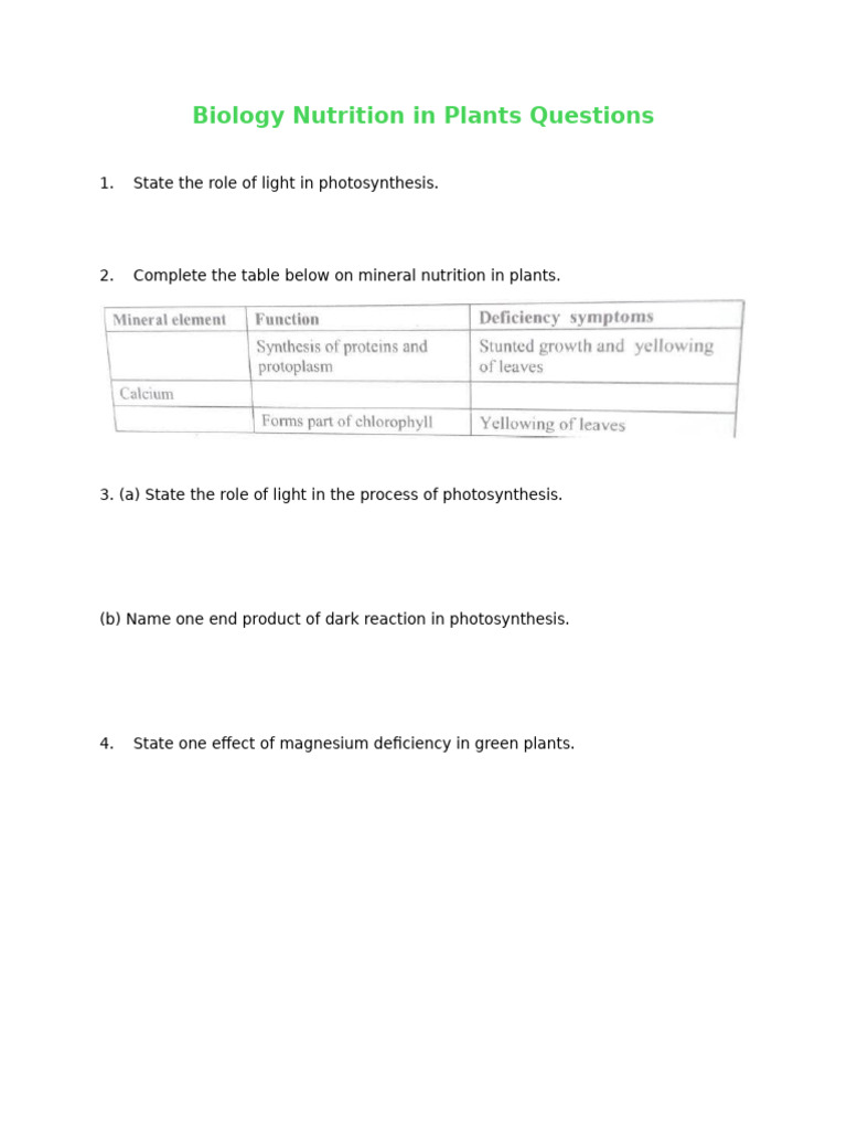 Biology Nutrition in Plants Questions | PDF | Photosynthesis | Leaf