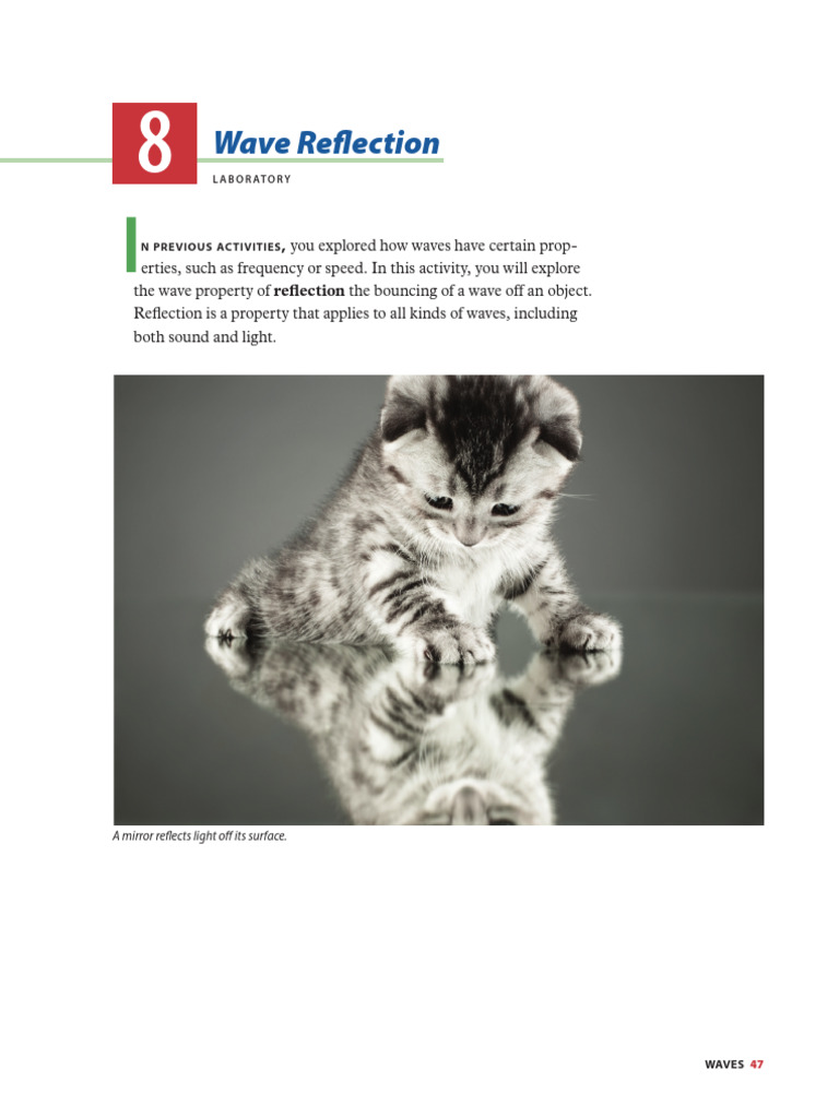 Wave Reflection and Light Behavior | PDF | Refraction | Reflection ...