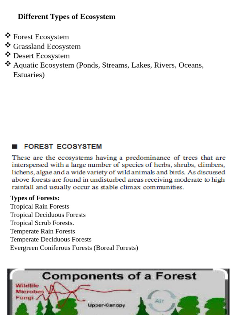 Forest, Grass Land, Deseart & Aquatic Ecosystems | PDF | Ecosystem ...