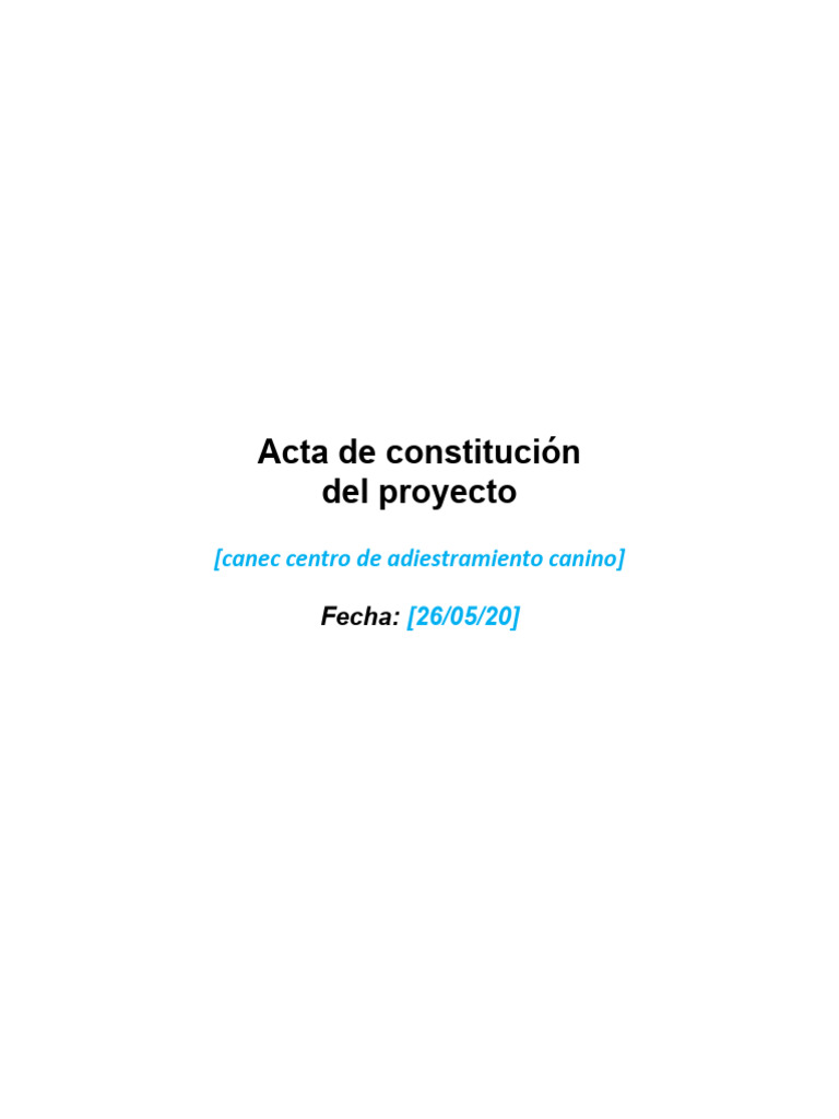 Acta Constitutiva Proyecto 2024 | PDF | Presupuesto | Economias