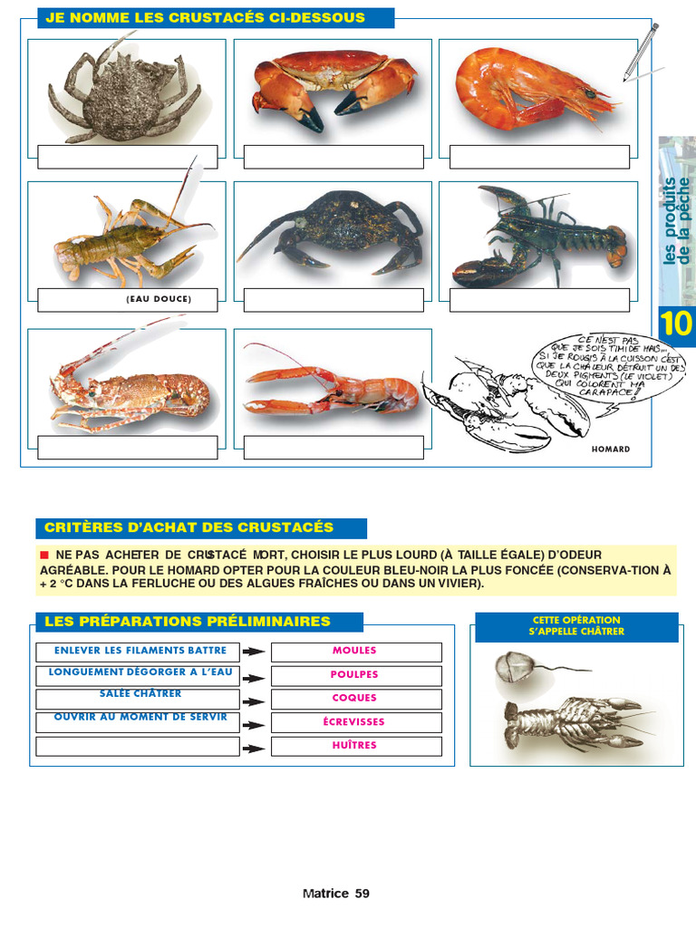 Guide d'achat et préparation des crustacés | PDF
