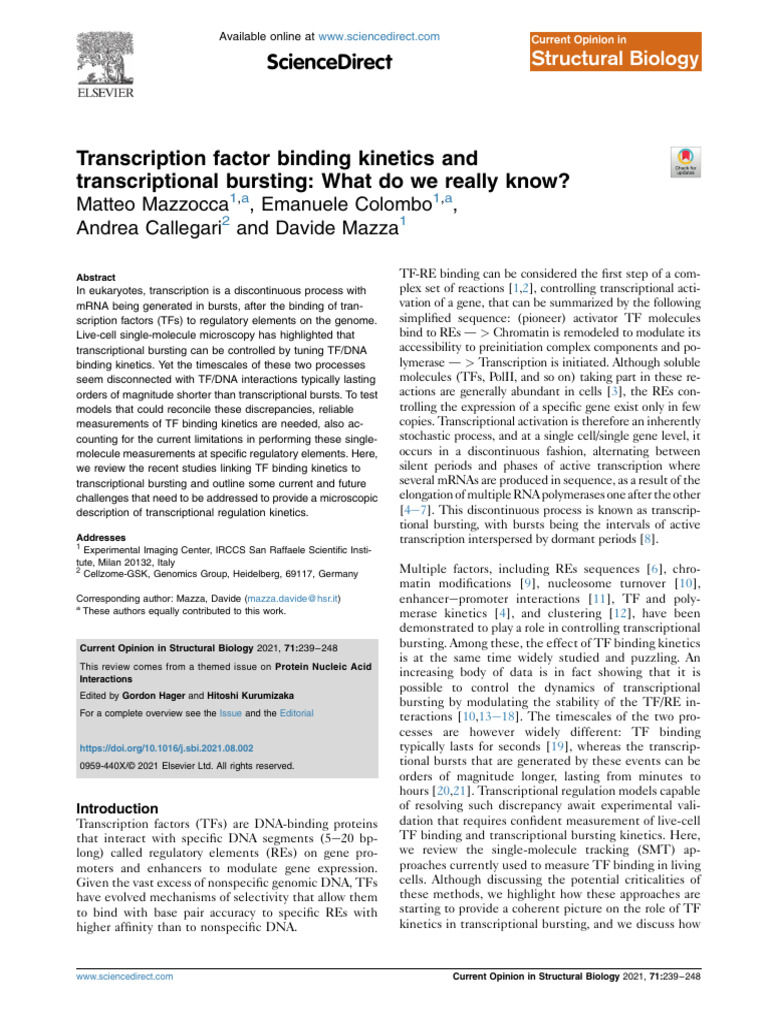 TF Binding Kinetics and Transcription Bursting | PDF | Transcription ...