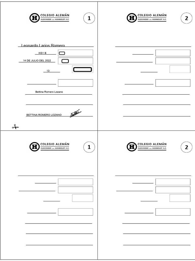 Formato Exentos | PDF