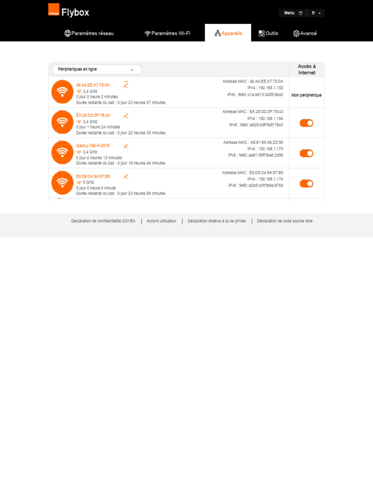 Gestion des périphériques Flybox | PDF | I Pv6 | Protocoles Internet