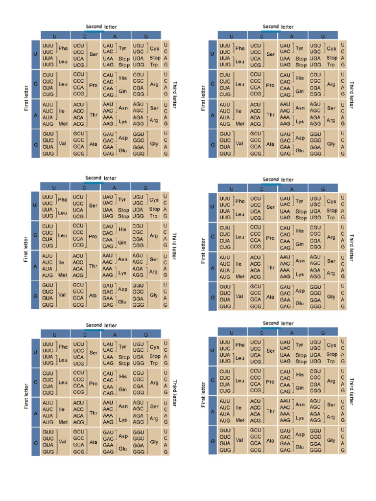 Entry 31B DecoderCharts6 | PDF