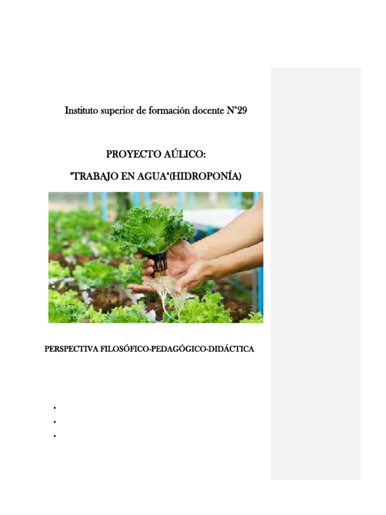 Hidroponia. Casas Dallota Rio | PDF | Hidroponia | Dieta y nutrición