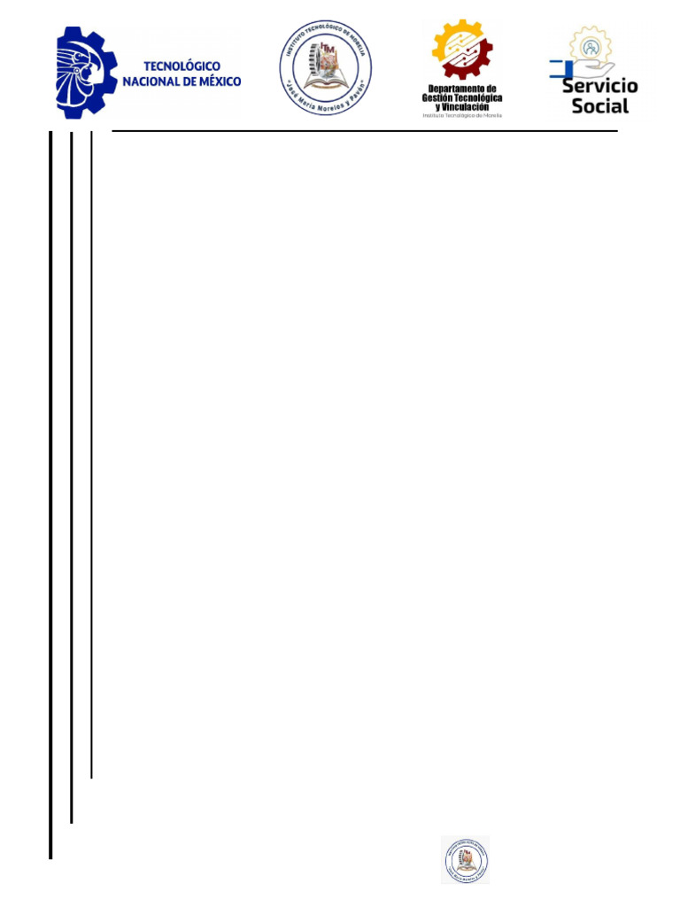 Formato Reporte Final de Servicio Social | PDF