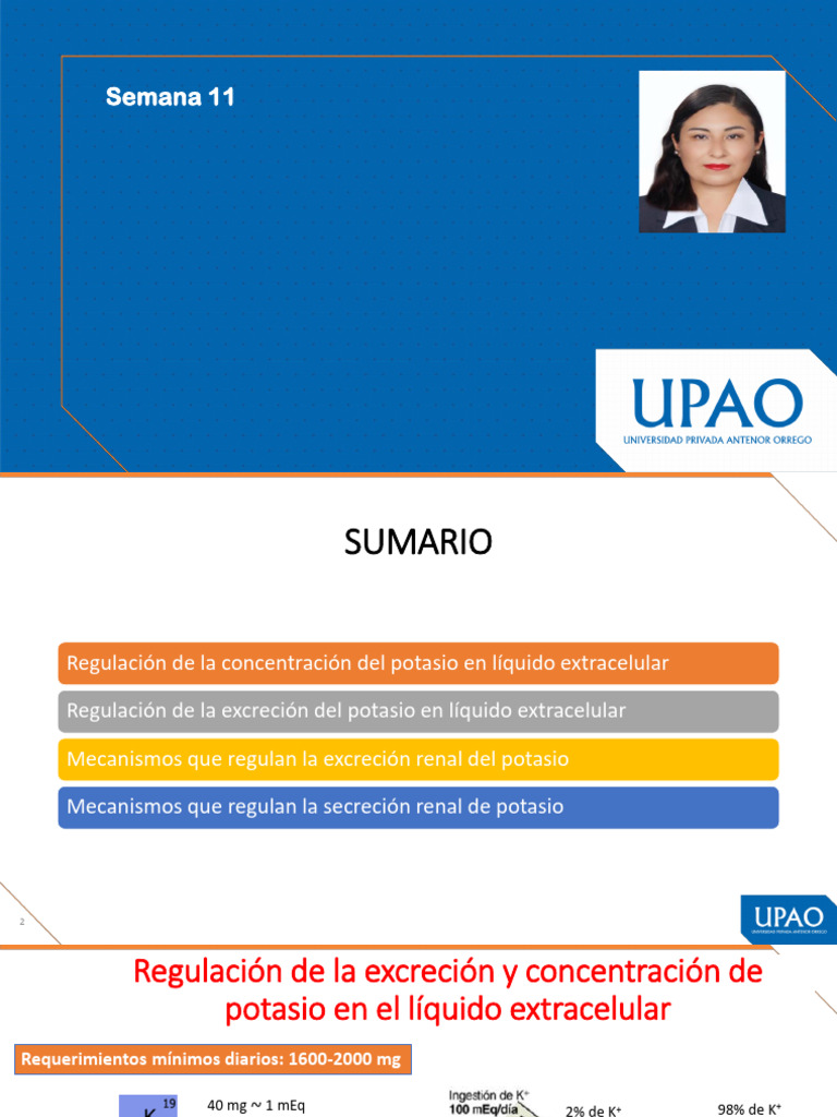 Regulación del Potasio en el Cuerpo | PDF | Potasio | Química