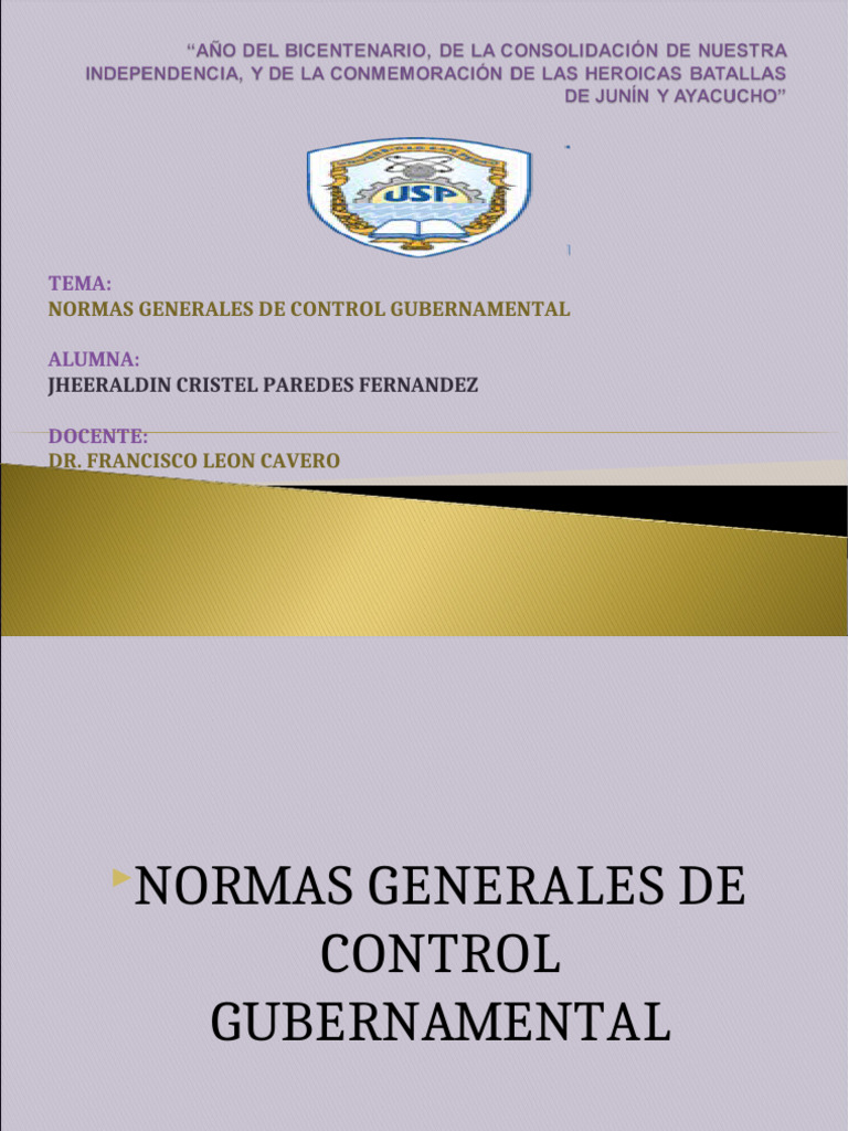 Normas de Control Gubernamental 2023 | PDF | Auditoría | Planificación