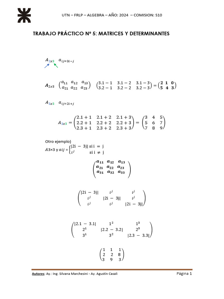 TP 5 - Matrices y Determinantes 2024 | PDF | Matriz (Matemáticas ...