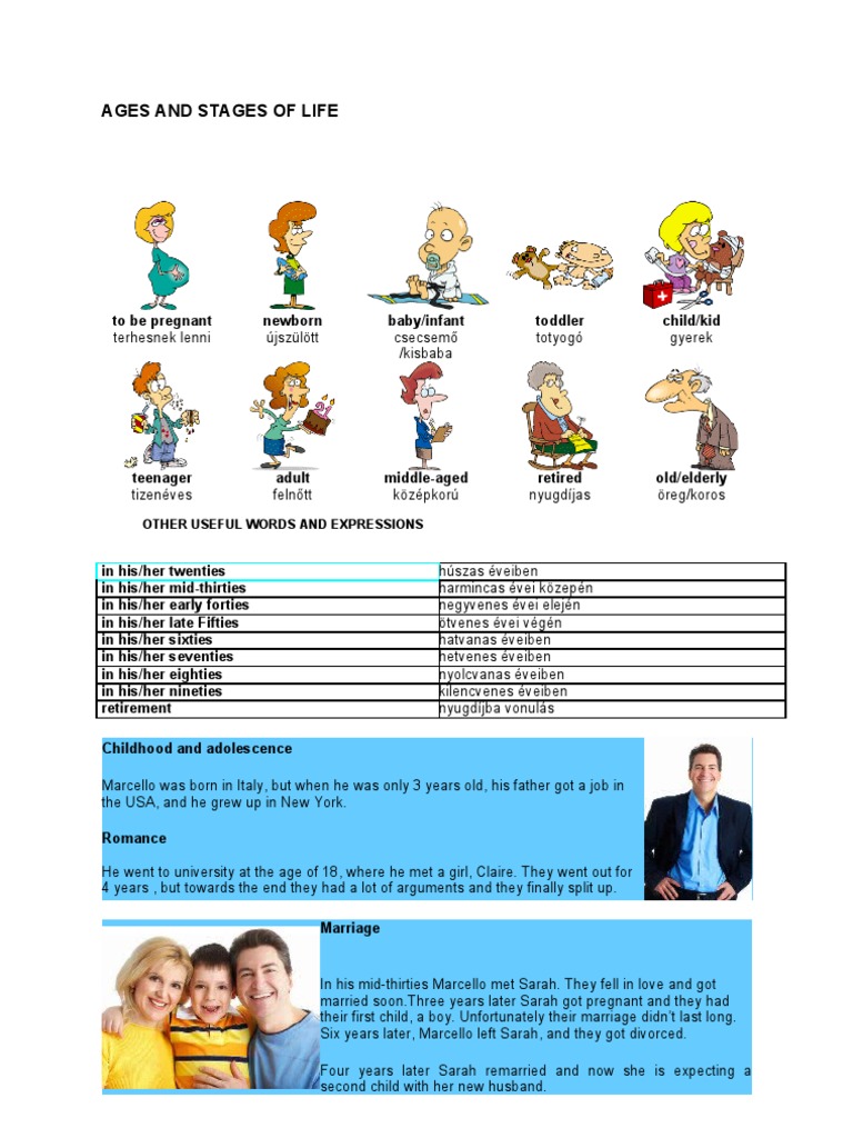 Ages and Stages of Life | PDF