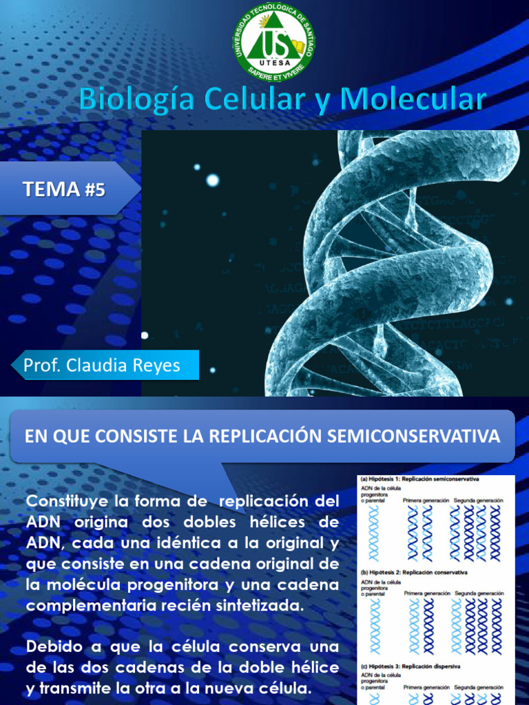 Replicación Semiconservativa del ADN | PDF | Replicación De Adn | Adn