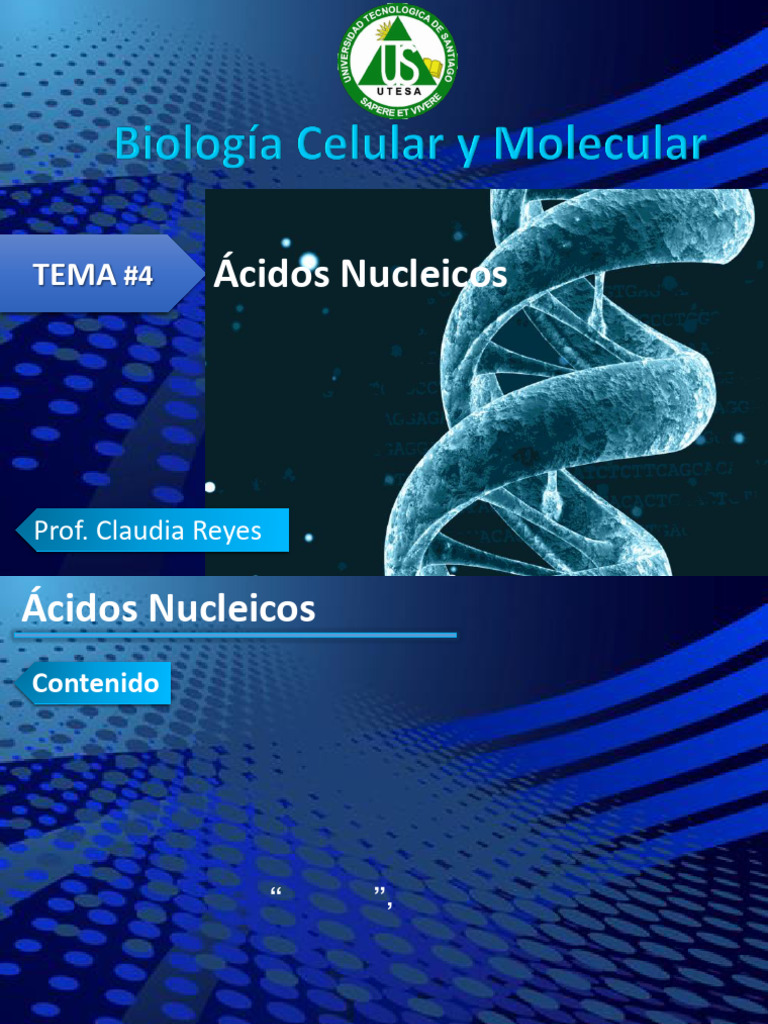 Introducción a Ácidos Nucleicos | PDF | Rna | Adn