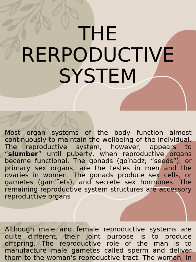 The Rerpoductive System 1 | PDF | Ovary | Prostate