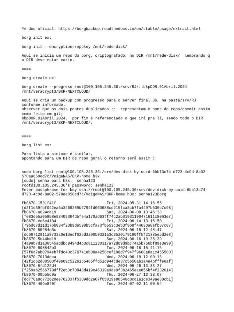 Borg Backup Commands and Examples | PDF | Computing | Information Science