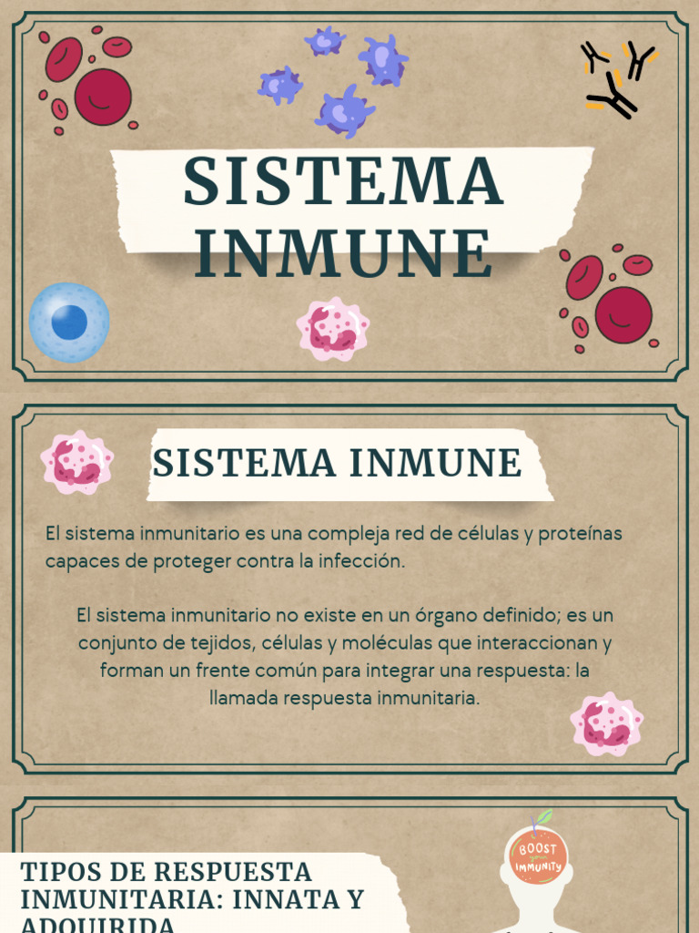 Tipos y trastornos del sistema inmune | PDF | Sistema inmune | Antígeno