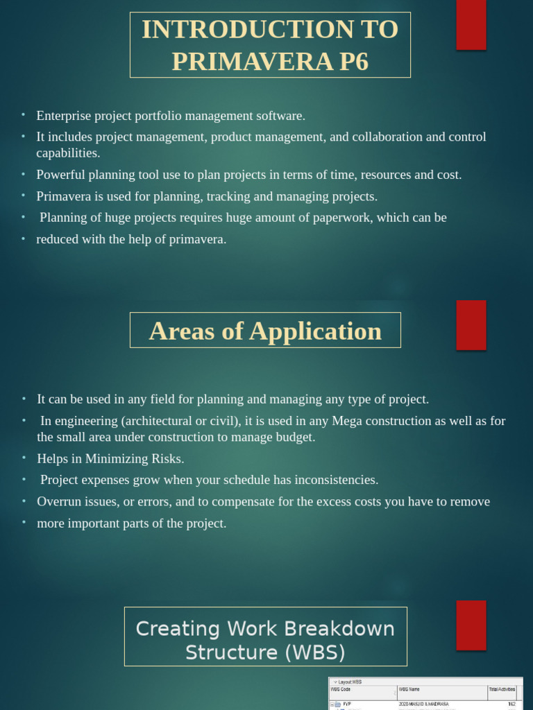 Primavera P6 Project Management Guide | PDF | Computing | Business