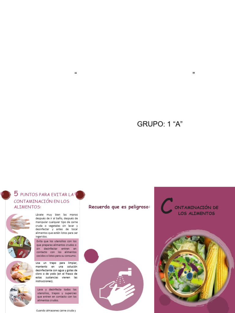 Prevención de Contaminación Alimentaria | PDF | Pesticida | Alimentos
