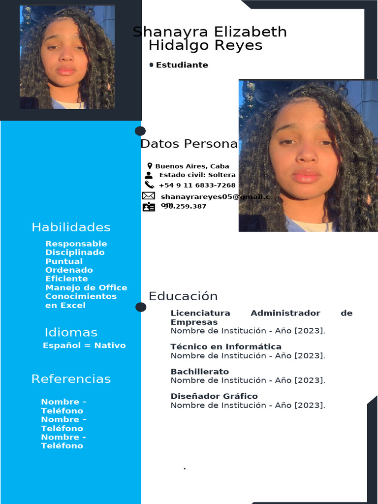 Modelo de CV Profesional | PDF
