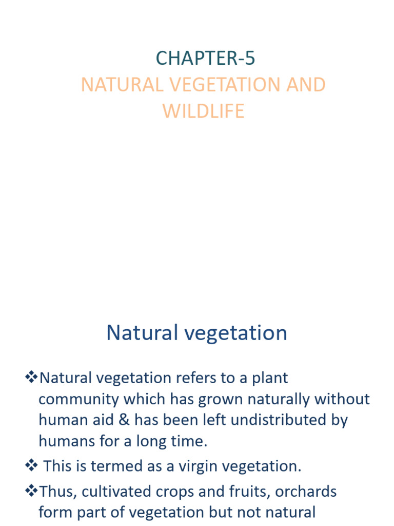 India's Natural Vegetation & Wildlife | PDF | Forests | Trees