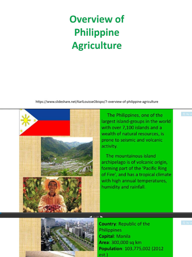 Overview of Philippine Agriculture | PDF | Social Science