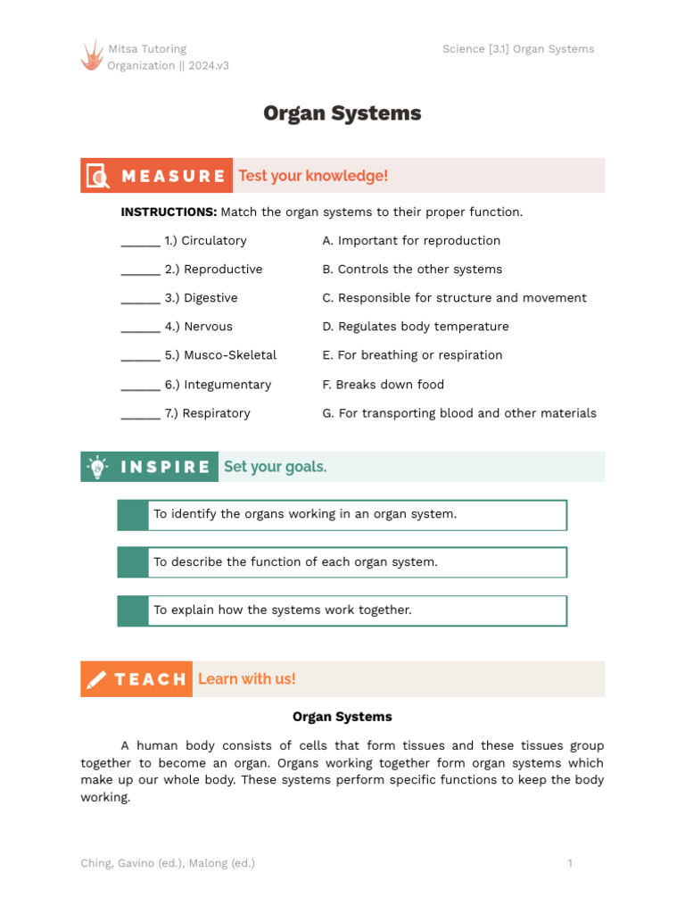 Understanding Human Organ Systems | PDF | Respiratory Tract | Muscle