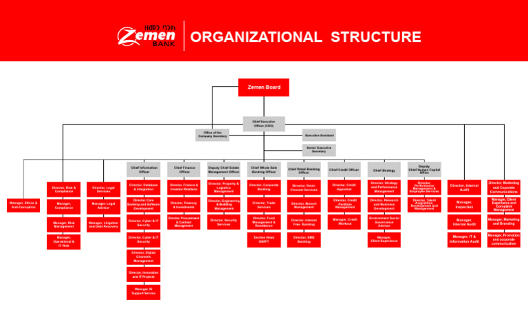 Zemen--Organ-Structure | PDF | Banks | Financial Economics