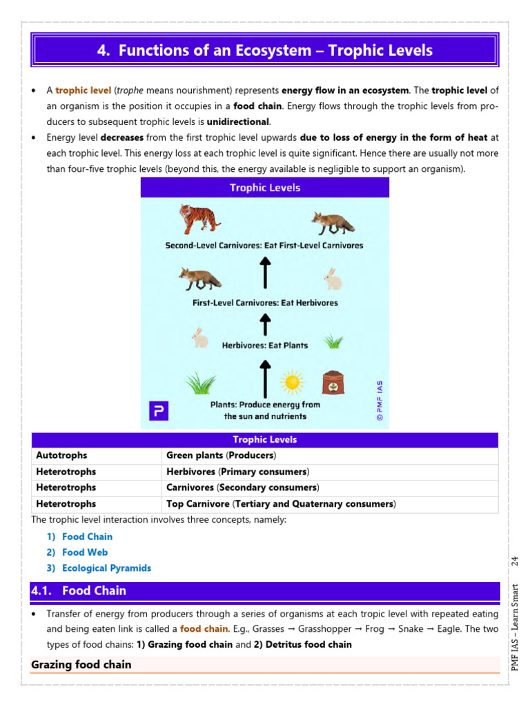 Functions of An Ecosystem - Trophic Levels: Trophe | PDF | Food Web ...