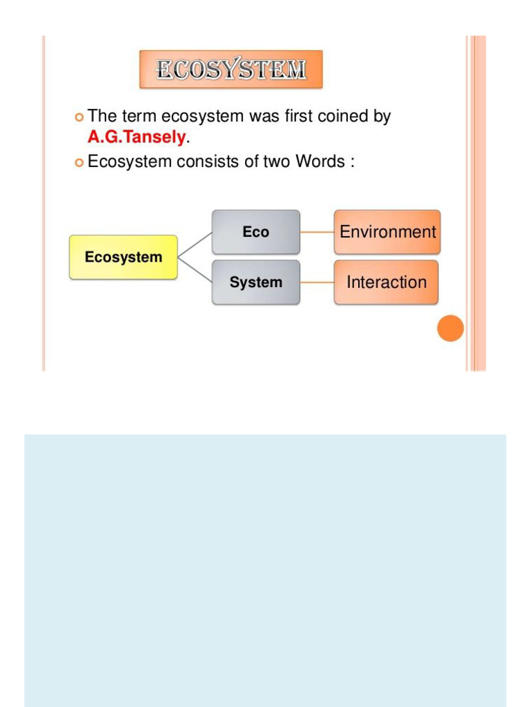 Unit 2 EVS - 240913 - 101625 | PDF | Food Web | Ecosystem