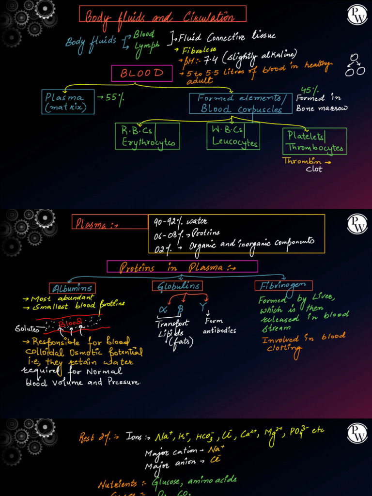 Body Fluids and Circulation - 01 - Class Notes - 52-AN201EA 2024 2 | PDF
