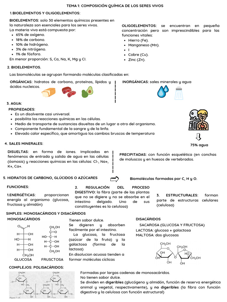 Composición Química de los Seres Vivos | PDF | Polisacárido | Virus