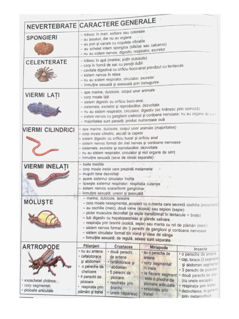 cl.9 Nevertebrate Si Vertebrate | PDF
