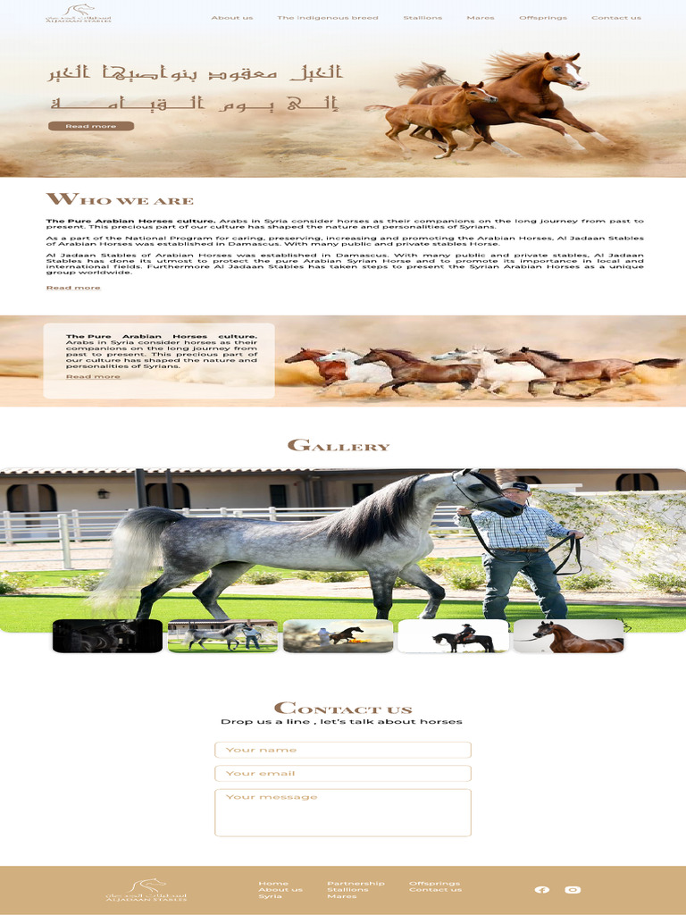 Preserving Pure Arabian Horses in Syria | PDF