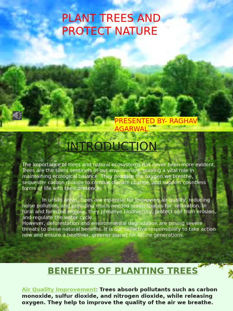 Plant Trees and Protect Nature: Presented By-Raghav Agarwal | PDF ...