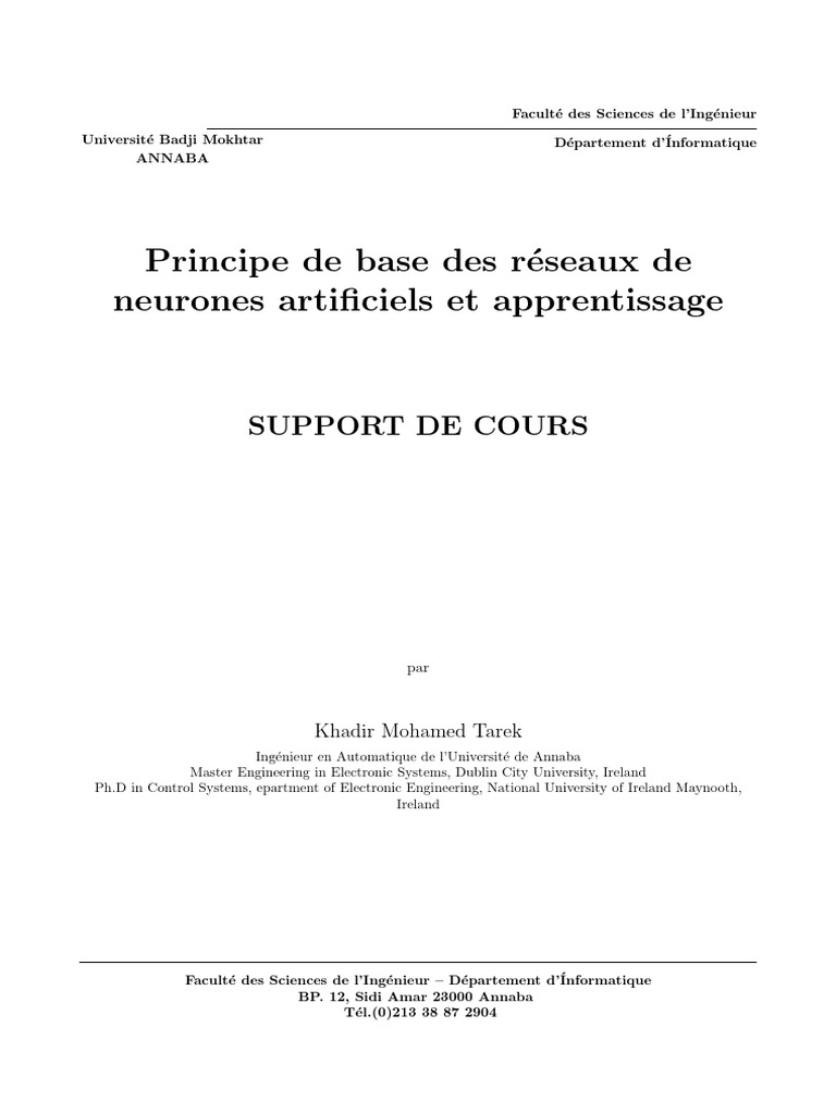 Introduction aux Réseaux de Neurones | PDF | Neurone | Synapse