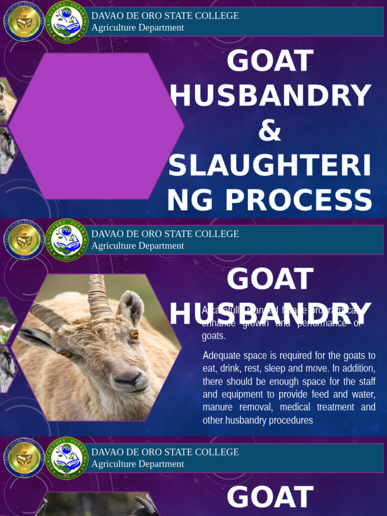 goat-husbandry-and-slaughtering-guide-pdf-wellness