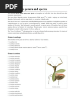 Download List of Mantis Genera and Species by Paulo Henrique SN78778540 doc pdf