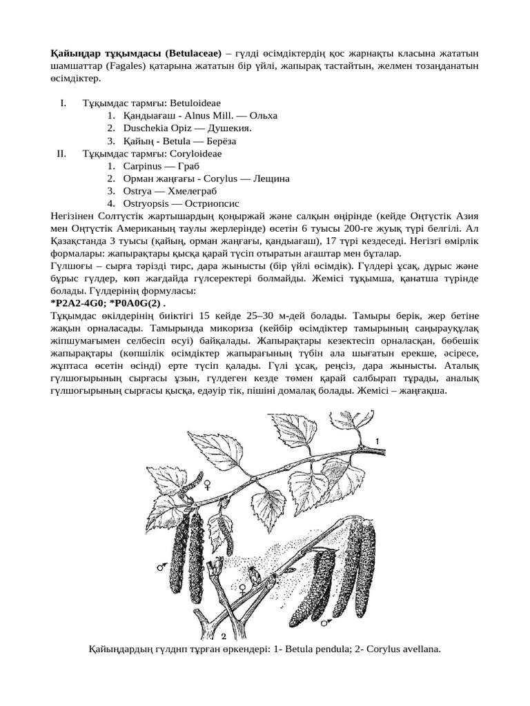 HD форматында пикап суретшісінің порносын көріңіз