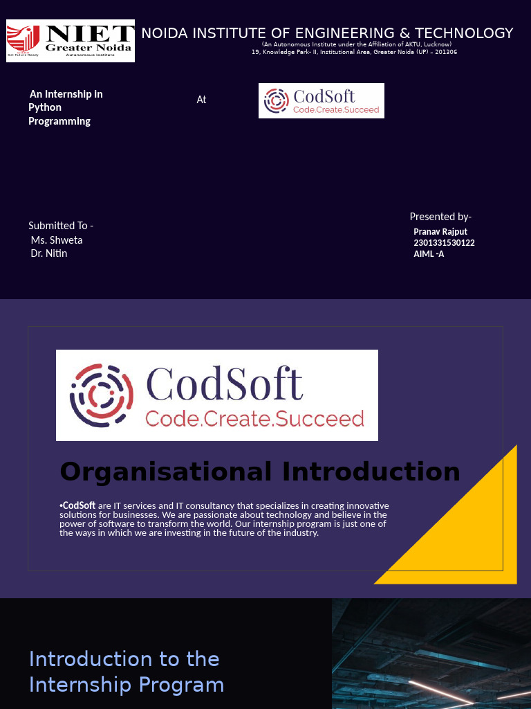 Python Programming Internship Overview | PDF | Command Line Interface ...