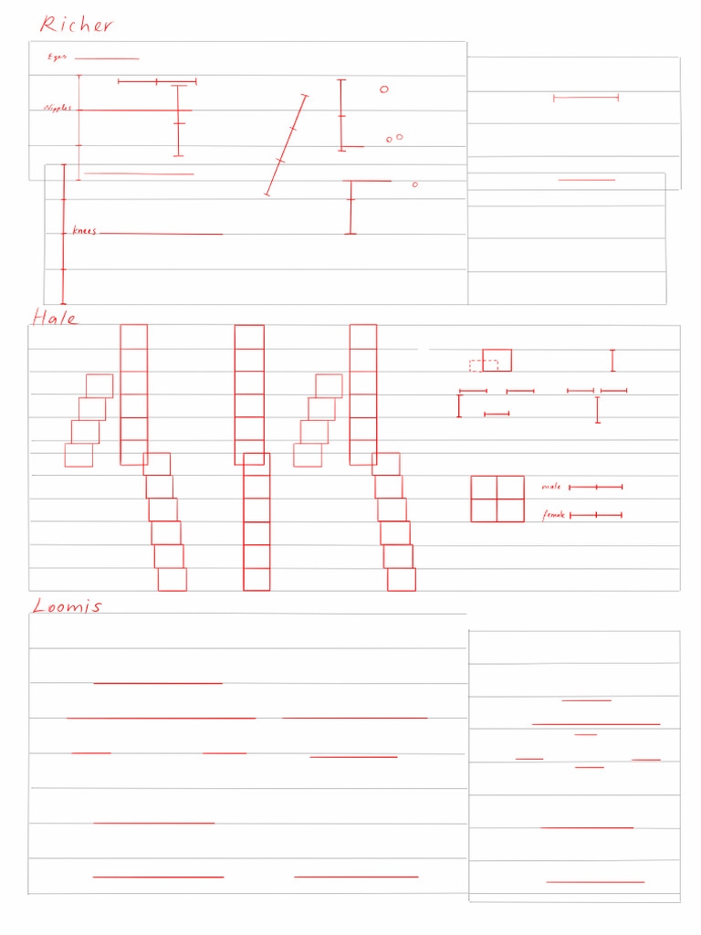 Body Proportions Template Boxed Out | PDF